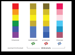 10 meticulous primary and secondary colour chart