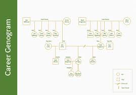 Questions should focus on gathering. Career Genograms Can Help Counsellors Understand Clients Career Influences Careerwise