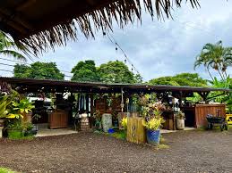 Image result for Alinula peteri