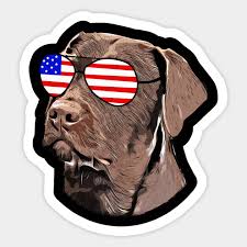 american flag sungles dog lover gift