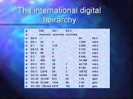 The International Digital Heirarchy