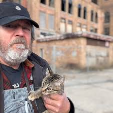 Dog food suggestions for sensitive stomach?