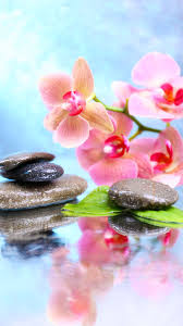 Selection De 50 Fonds D Ecran Pour Iphone Fond Ecran Iphone Fond D Ecran Telephone Fond Ecran Zen