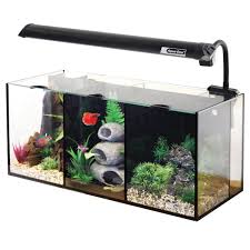 Aqua One Betta Trio Betta Fish Tank Betta Aquarium Betta Fish