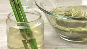 A rooting hormone, also known as auxin hormone or phytohormone, is a combination of plant growth hormones which helps stimulate natural root formation. 4 Ways To Make Homemade Hormone Rooting Powder Or Tonic Wikihow