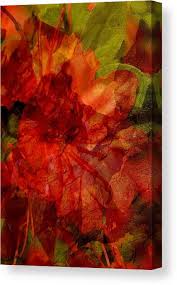 Blood Rose Canvas Print
