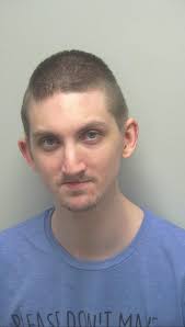 Wild green memes theme song lyrics cover