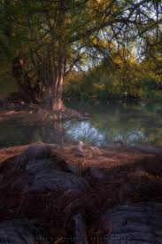 Image result for tbn:ekRZeqiUkU8b5M::www.hormiga.org/fondosescritorio/wallpapers/Paisajes-y-naturaleza/fotos/Paisajes-22.jpg