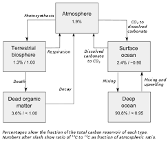 For articles on the rate project, see the rate index. Radiocarbon Dating Wikipedia