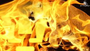 We did not find results for: Pumas By Mugrover On Deviantart