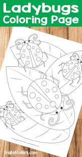4.6 out of 5 stars 153. Ladybugs Coloring Page Free Printable For Kids Trail Of Colors Ladybug Coloring Page Bug Coloring Pages Bee Coloring Pages
