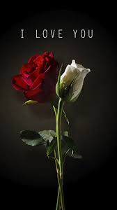 Pin By Justin Laustrup On Quotes I Love You Images Love Wallpapers Romantic Love You Images