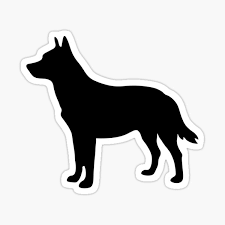 Short, long and wire hair. Texas Heeler Gifts Merchandise Redbubble