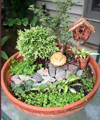 Minature Dish Garden Jardins Residenciais Suculentas Jardim