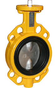 Butterfly valves for gas