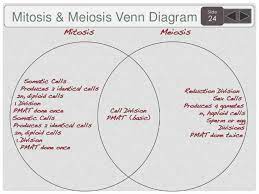 Amoeba sisters classification worksheet answer key.amoeba sisters meiosis worksheet answers. Sem 2 3rd Quarter Biology Agenda And Targets 2015