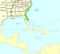 Image result for Andrachne ovalis