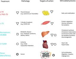 Image result for Thyroid Function Summary