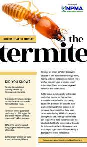 Pest away pest control services. A1 Exterminators And The Npma Would Like To Share Information On The Health Risks Of Termites For More Termite Cont Termite Control Termites Termite Treatment