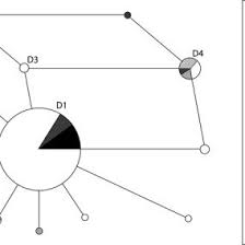 Dromedary camel (camelus dromedarius) is a fully domesticated animal with possibly no one surviving in the wild. Geographic Distribution Of The Domestic Bactrian Camel Samples Analyzed Download Scientific Diagram