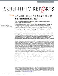 Pdf hyperbolic spaces and directional contractions. Pdf An Optogenetic Kindling Model Of Neocortical Epilepsy