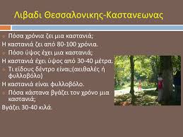 Παρατηρήσεις από το μεγαλύτερο δίκτυο μετεωρολογικών σταθμων. Libadi 8essalonikhs Kastanewnas Ppt Katebasma