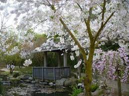 Features Of The Garden Places To Go Fresno California San Joaquin Valley