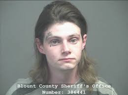 STRUNK, SPENCER RAY Charges: PUBLIC INTOXICATION This information and more  is available https://apps.myocv.com/share/a95737804