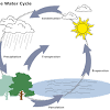 The runoff and streamflow steps of the water cycle play a key part in making sure water gets back into the oceans to keep the water cycle going. 1