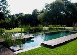 Naturpool Integrating Nature In And Around The Pool While Keeping It Inviting Gartengestaltung Schwimmteich Naturschwimmbecken