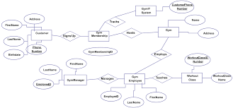 Gym Database Management System Classic Creately