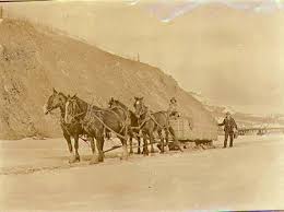 Hauling coal in a horse-drawn sled from ...