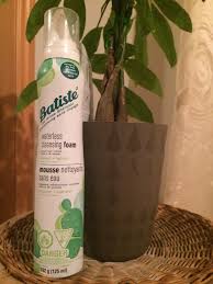 The roots will be able to stretch out farther and better able to stabilize a. Batiste Waterless Cleansing Foam With Cactus Water Reviews In Dry Shampoo Chickadvisor