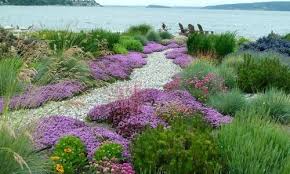 Pin On Flowers And Landscaping