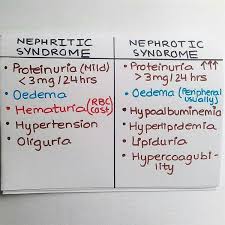 Proteinuria is a common finding in adults in primary care practice. Nephritic Vs Nephrotic Syndrome Nursing School Studying Nurse Practitioner School Nursing School Tips