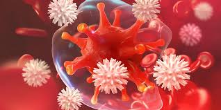 See immune response stock video clips. How The Immune System Protects Animals From Viruses Zinpro