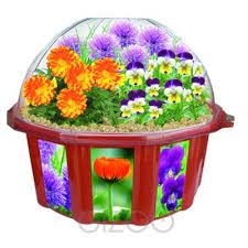 Growing edible flowers in pots. Grow Your Own Edible Flowers