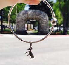 France shining wish ring dd34f d1905 new zealand perle pandora amitié clip pas cher bracelet 7.5 boutique hotel tour eiffel 1eb0f b25b6 greece pink pandora . A Touch Of Class Jackson Hole Home Facebook