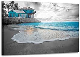 For example, taking a black and white photograph and adding partial color effects to certain key points of the shot is one of the most popular techniques amongst professional photographers. Amazon Com Black And White Canvas Pictures With A Pop Of Color