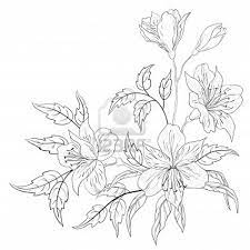 Flowers Alstroemeria Vector Monochrome Contours On A White Flower Drawing Flower Bouquet Drawing Peruvian Lilies