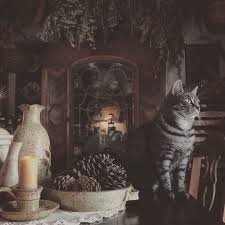 We did not find results for: 64 Gambar Aesthetic Coklat Terbaik Gambar Pixabay