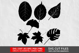 Download Leave Graphic By Design Palace Creative Fabrica PSD Mockup Templates