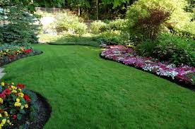 Eternal tree & landscaping services. Lawn And Turf Benefits Landscape Ontario