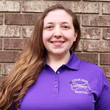 Our Team in Livonia, Michigan