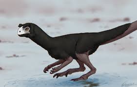 Image result for Paralepistemon