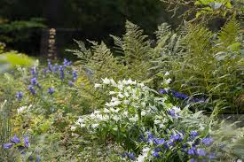 Find transport to botanischer garten schellerhau. Petition Fur Den Botanischen Garten Schellerhau Pflanzenreich