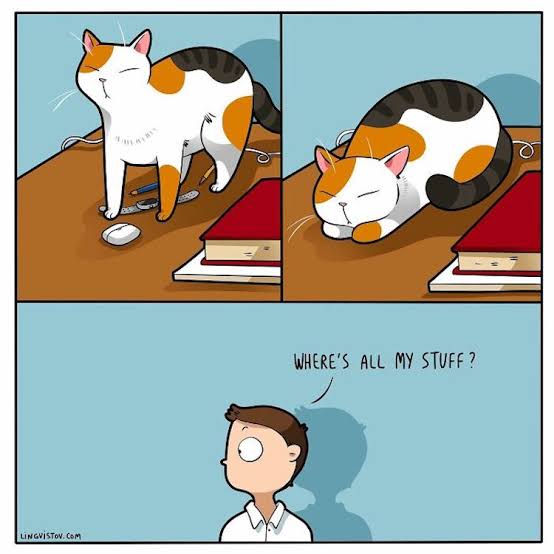 Funny Cat Comics Celebrate Why We Love Furry Our Furry Friends