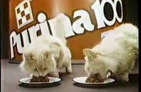 1981 Purina 100 Cat Food Tastes Like A Million Tv Commercial Youtube In 2020 Tv Commercials Purina New Clip