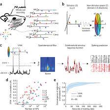 Brain hacking with tdcs transcutaneous direct current stimulation creates neuromodulation; Reverse Correlation Of Intracellular Recordings Can Rapidly And Download Scientific Diagram