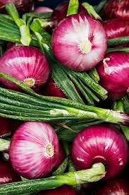 onions สวนคร ว เคร องเทศ ผลไม
